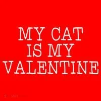 My Cat Is My Valentine Hoodie thumb 2