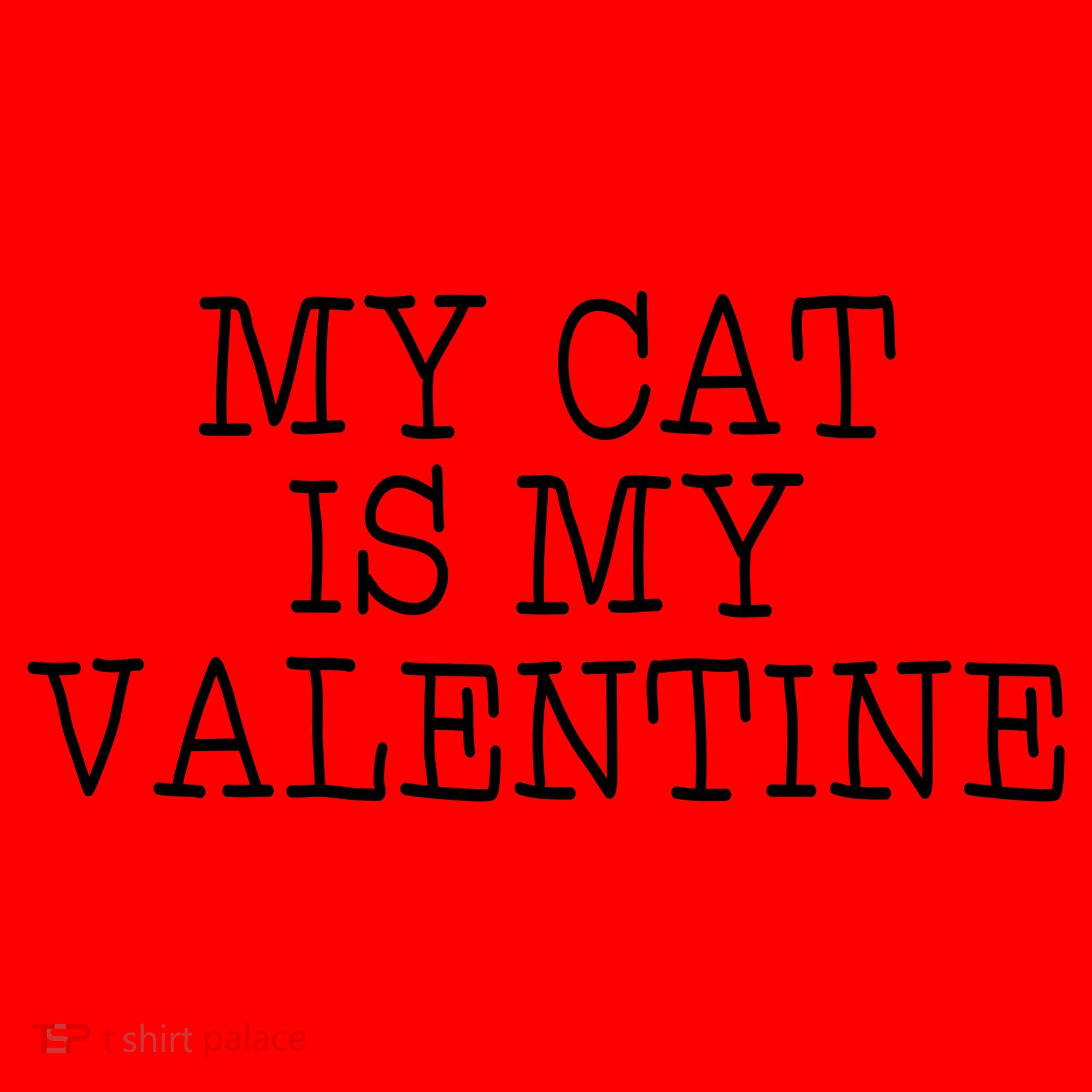 My Cat Is My Valentine Santa Hat