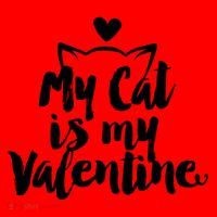 My Cat Is My Valentine Funny Cute Coffee Mug thumb 5