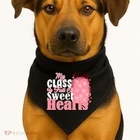 My Class Is Full Of Sweet Hearts Valentine's Day USA-Made Doggie Bandana thumb 1