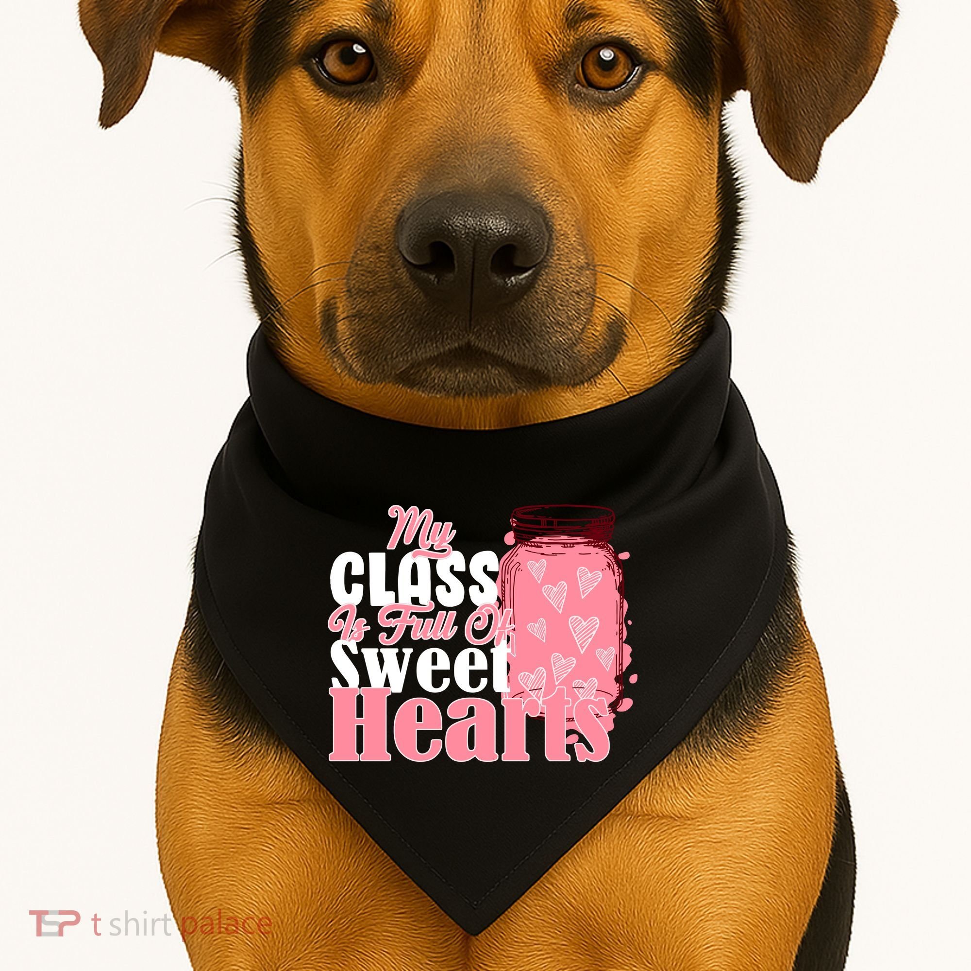 My Class Is Full Of Sweet Hearts Valentine's Day USA-Made Doggie Bandana