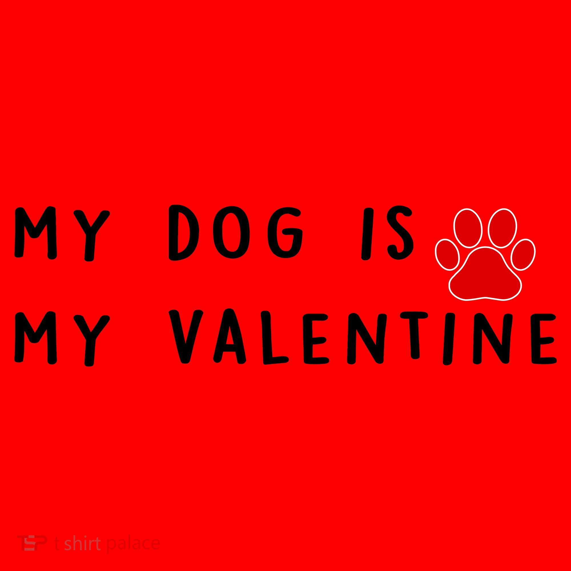 My Dog Is My Valentine Santa Hat