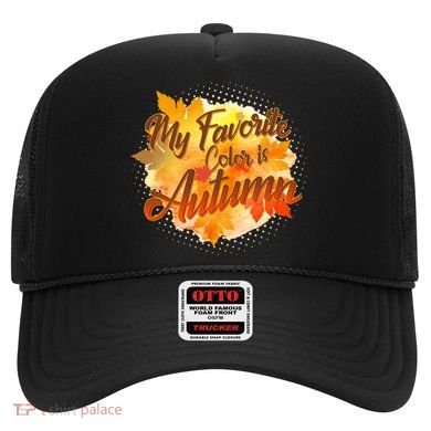 My Favorite Color Is Autumn Hat
