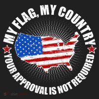 My Flag My Country Your Approval Is Not Required Beanie thumb 2