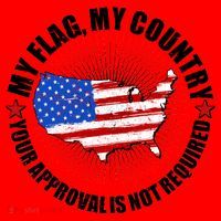 My Flag My Country Your Approval Is Not Required Santa Hat thumb 1