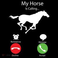 My Horse Is Calling Ornament thumb 1