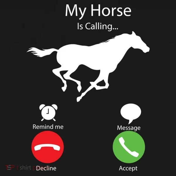 My Horse Is Calling Women's Tank Top
