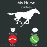 My Horse Is Calling Button thumb 1