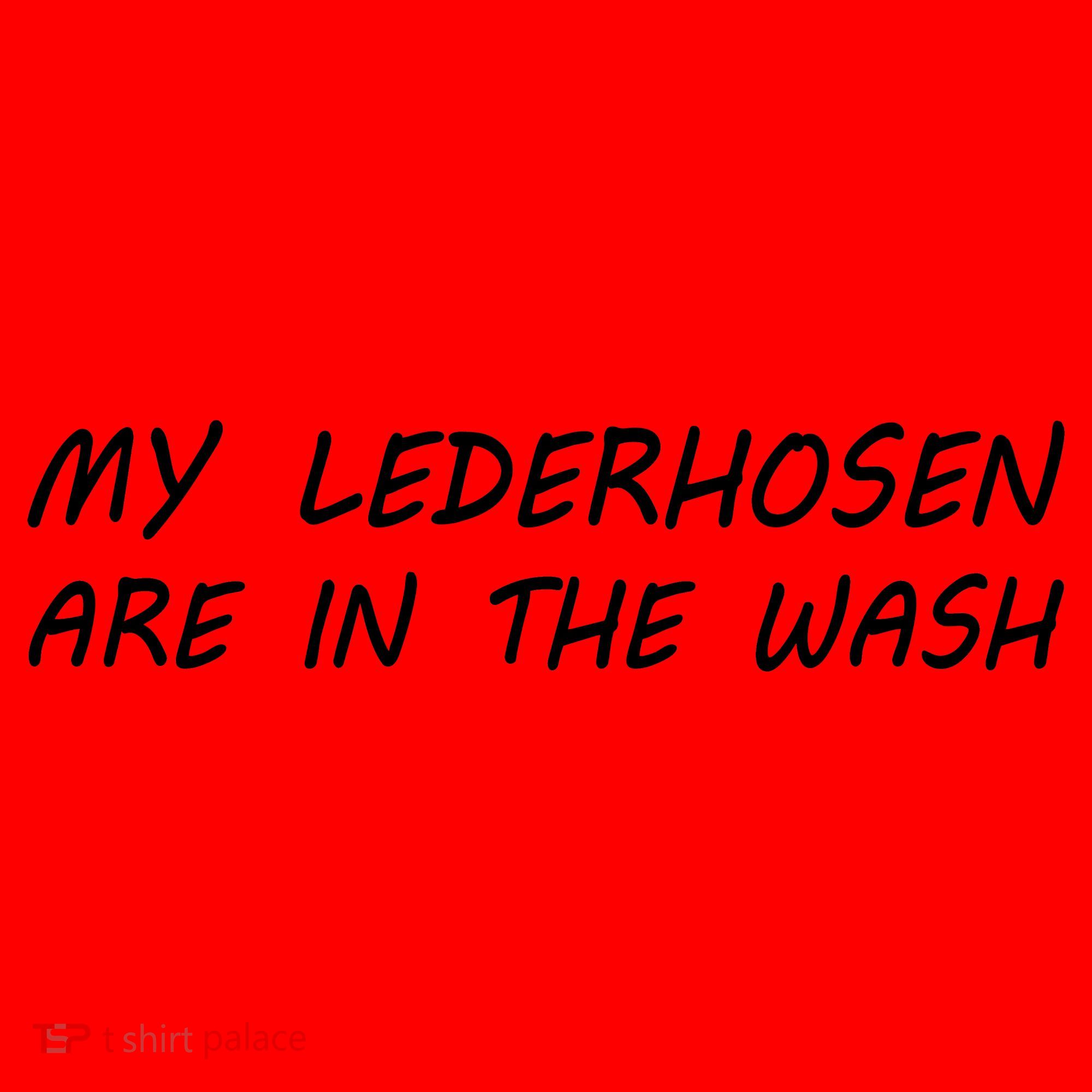 My Lederhosen Are In The Wash Santa Hat