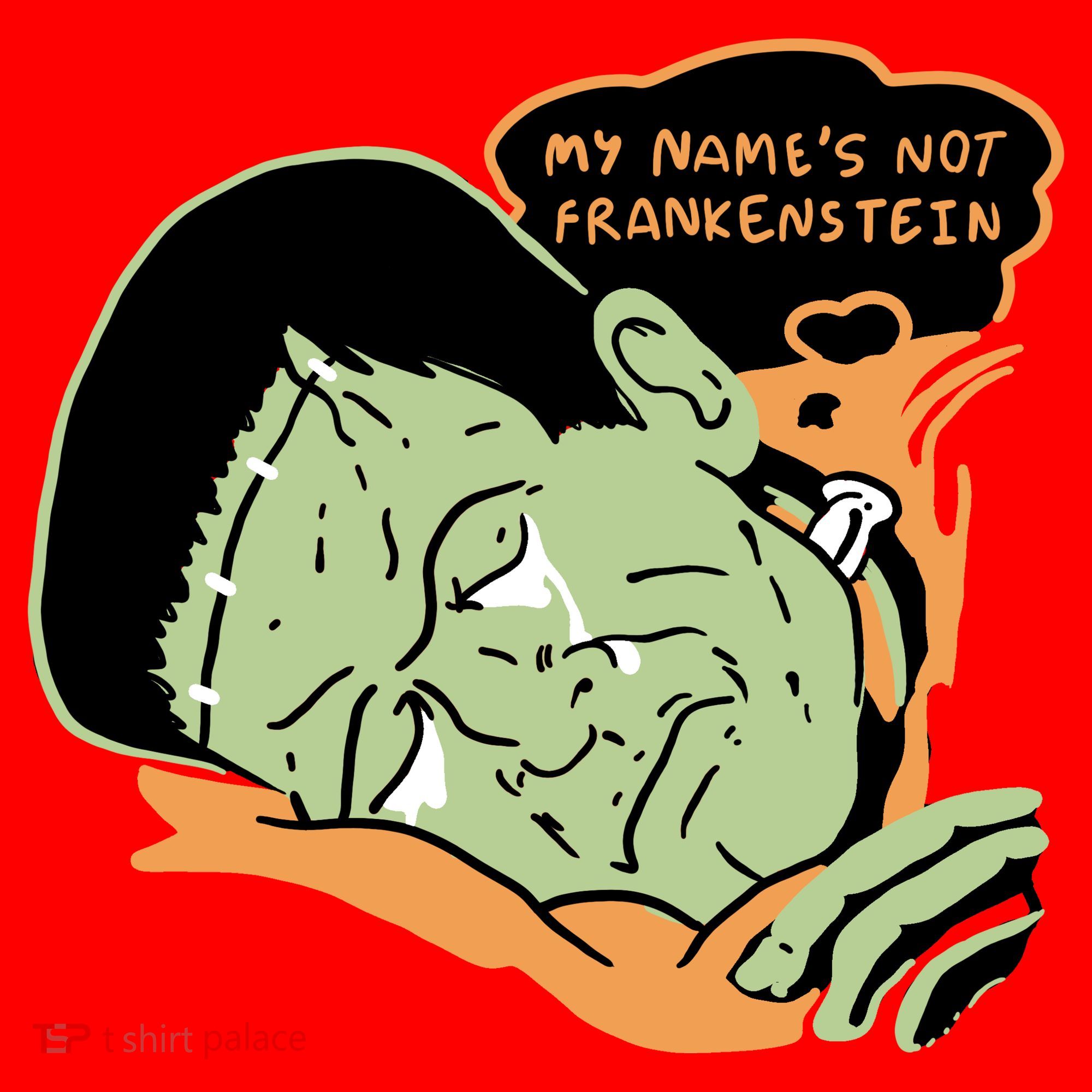 My Name Is Not Frankenstein Santa Hat
