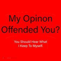 My Opinion Offended You? Santa Hat thumb 1