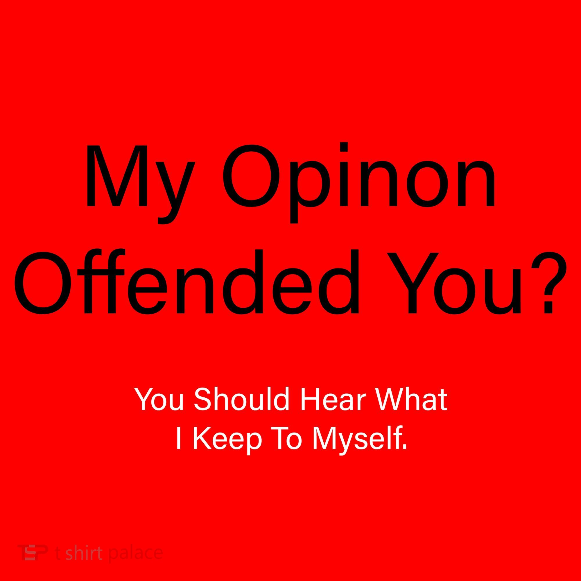 My Opinion Offended You? Santa Hat