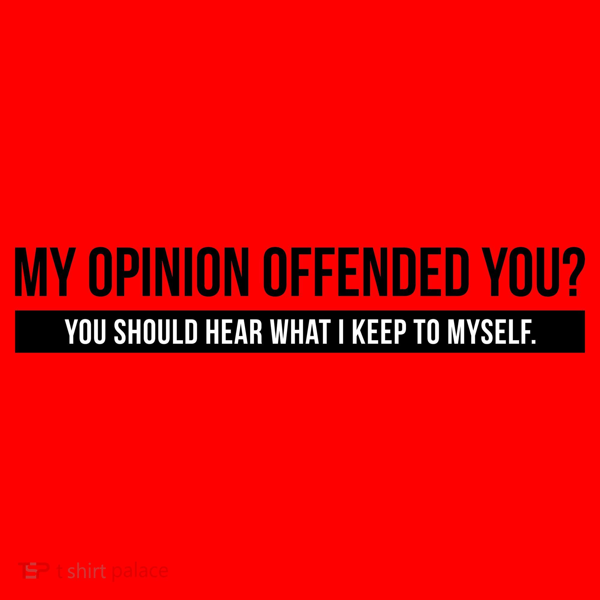 My Opinion Offended You Should Hear What I Say To Myself Santa Hat