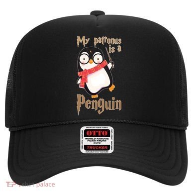 My Patronus Is a Penguin Hat