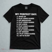 My Perfect Day Sleep Eat Play Video Games T-Shirt thumb 5