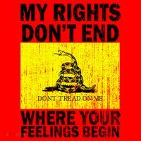 My Rights Don't End Where Your Feelings Begin Santa Hat thumb 1