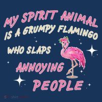 My Spirit Animal Is Grumpy Flamingo Women's T-Shirt thumb 6