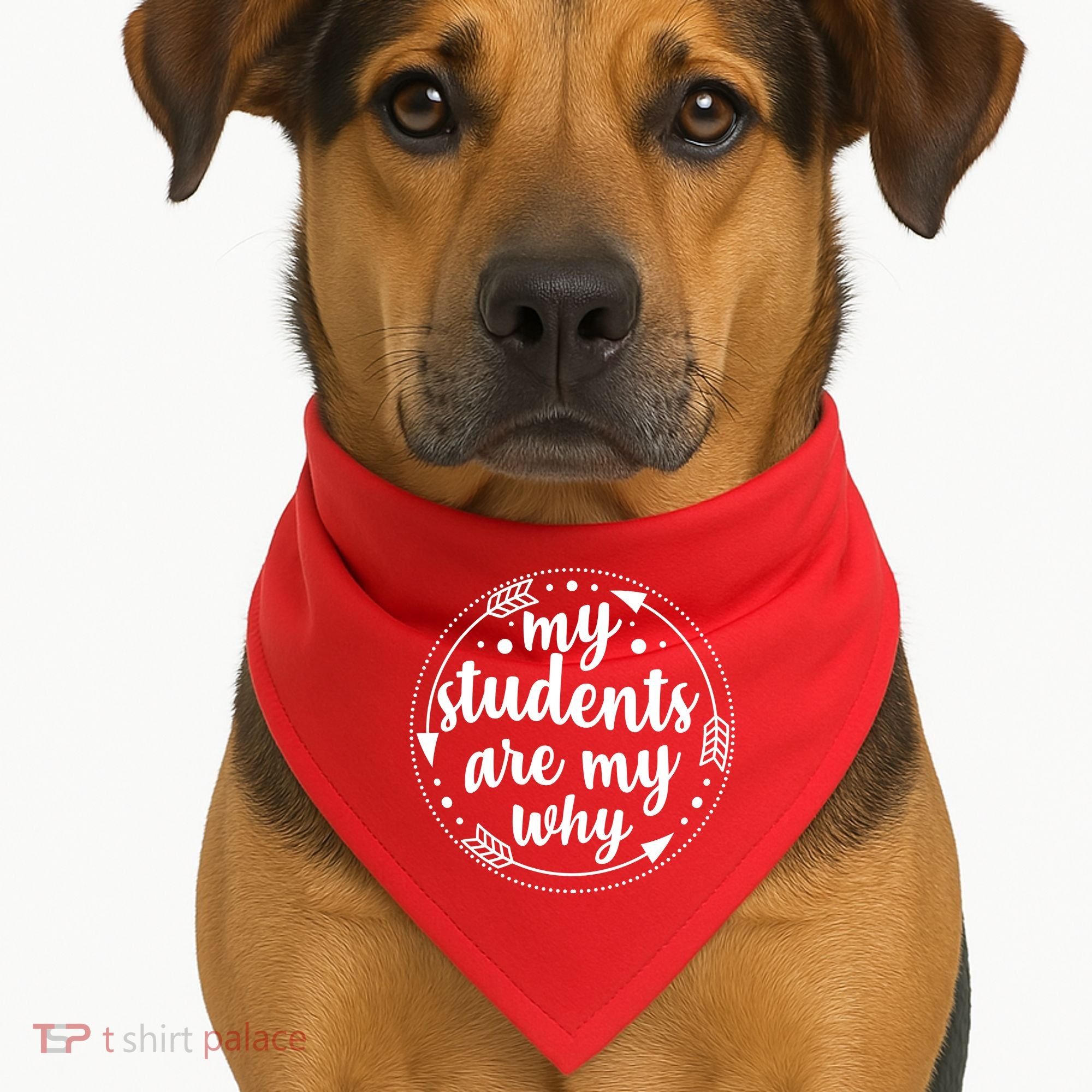 My Students Are My Why USA-Made Doggie Bandana