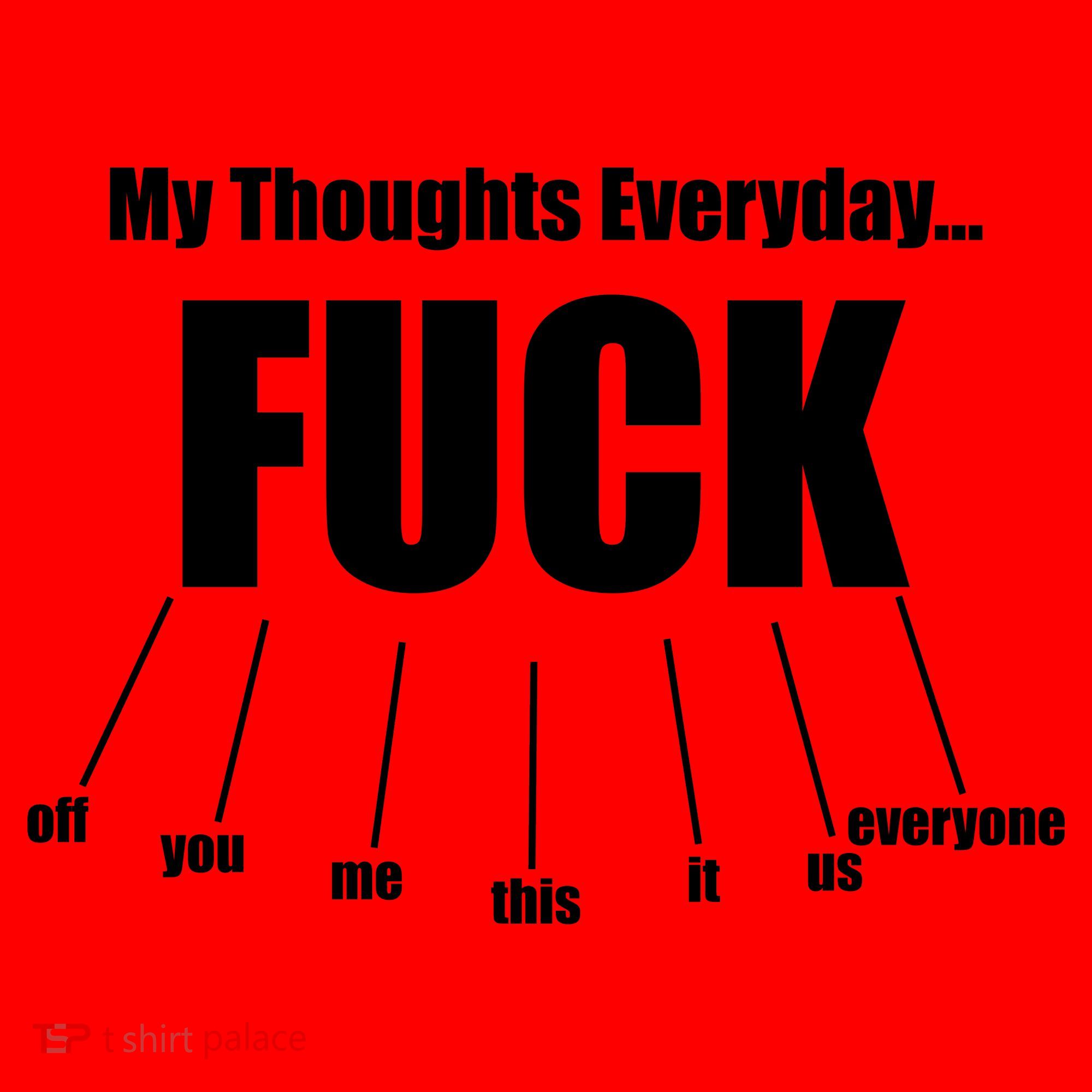 My Thoughts Everyday Fuck Everything Funny Meme Santa Hat