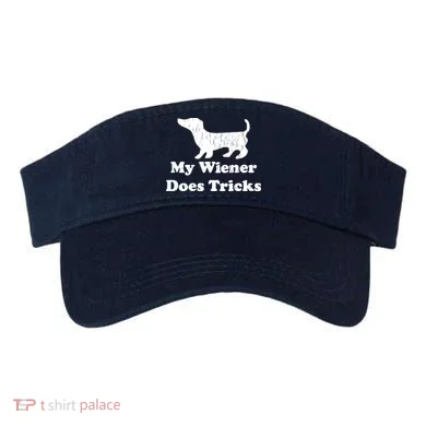 Visor