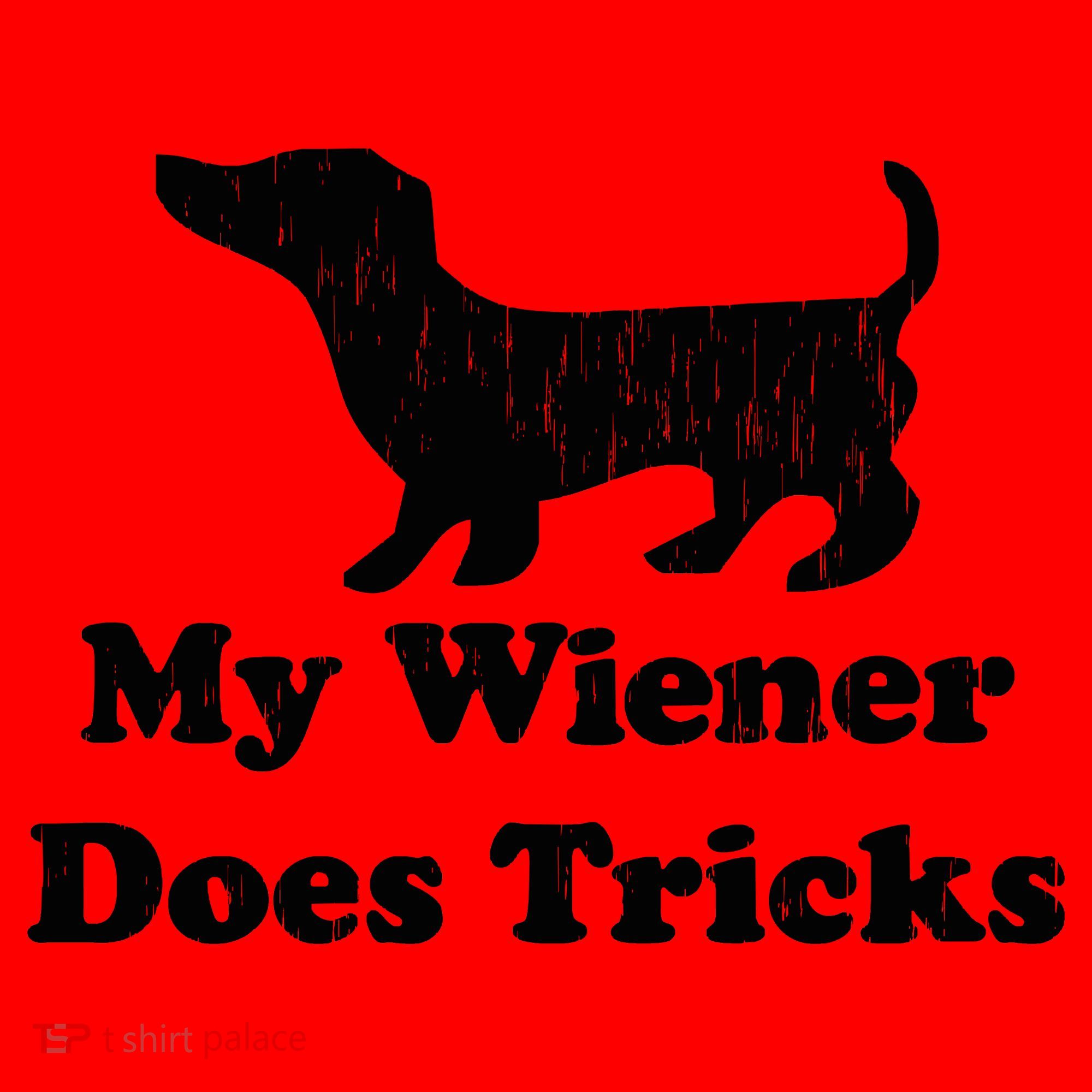 My Wiener Does Tricks Santa Hat