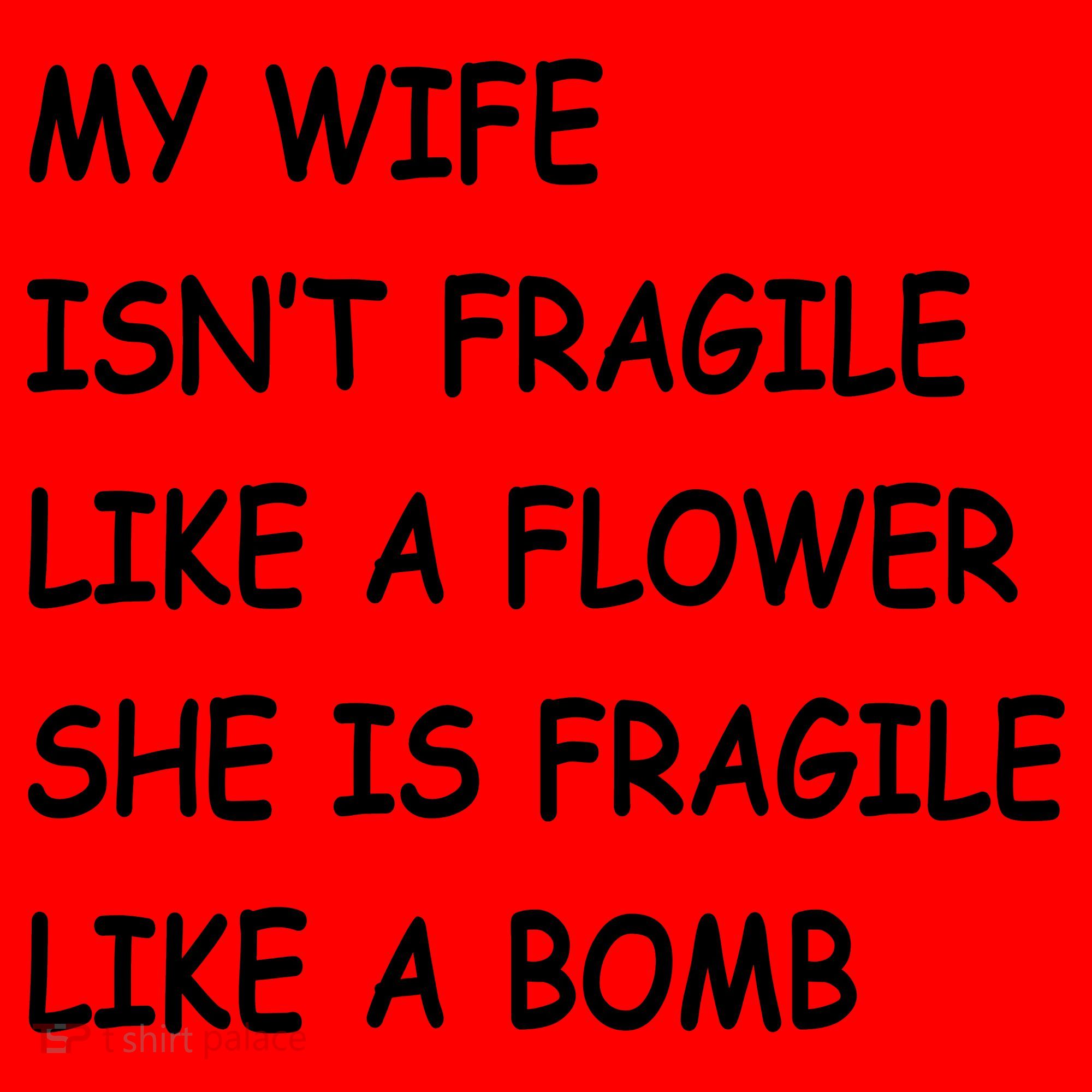 My Wife Isn't Fragile  Santa Hat