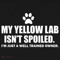 My Yellow Lab Isn't Spoiled Backpack thumb 2