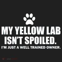 My Yellow Lab Isn't Spoiled Golf Towel thumb 3