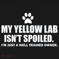My Yellow Lab Isn't Spoiled Visor thumb 3