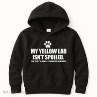 My Yellow Lab Isn't Spoiled Kids Hoodie thumb 0
