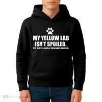My Yellow Lab Isn't Spoiled Kids Hoodie thumb 4