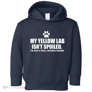 Toddler Hoodie