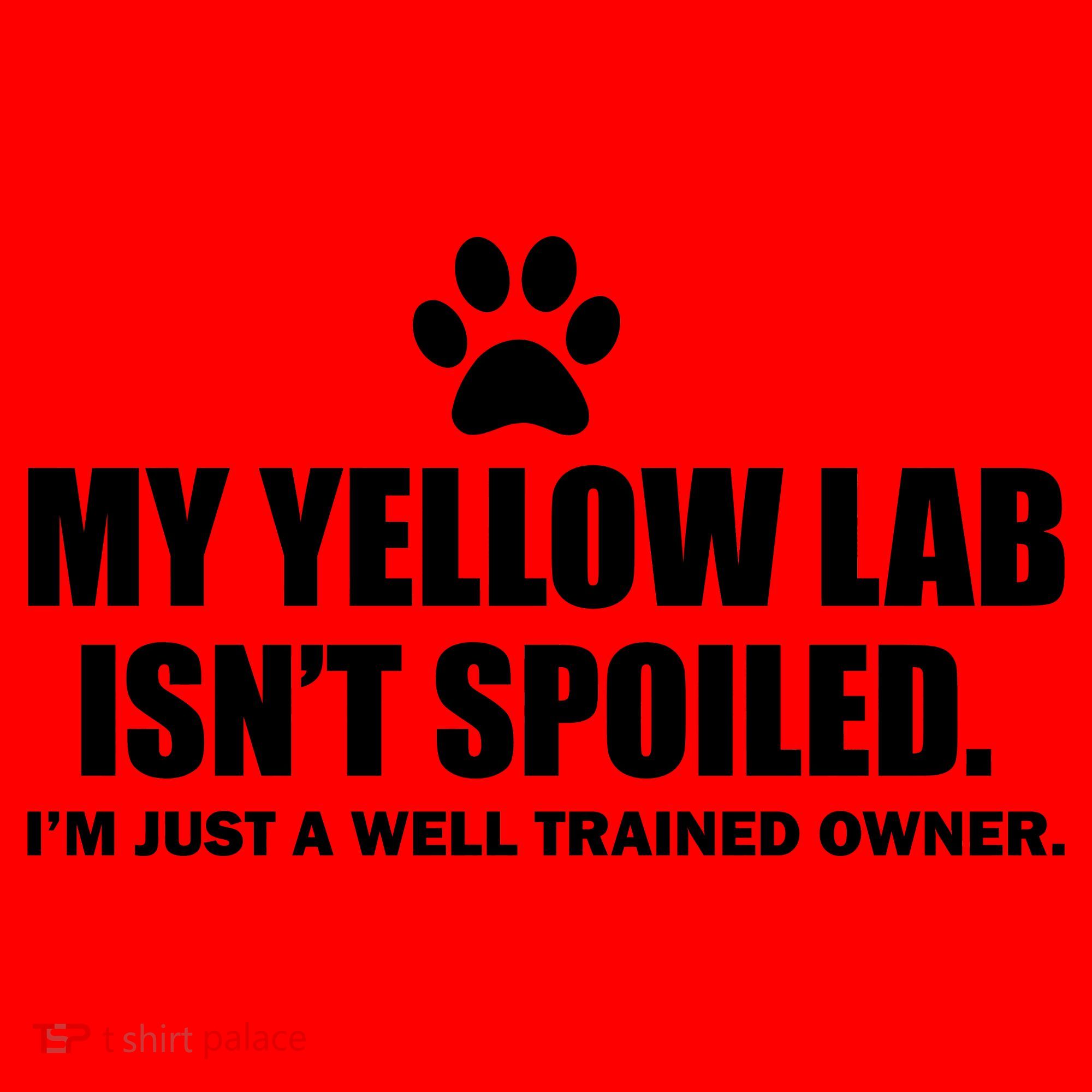 My Yellow Lab Isn't Spoiled Santa Hat
