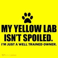 My Yellow Lab Isn't Spoiled Long Sleeve Shirt thumb 2