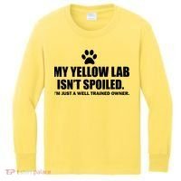 My Yellow Lab Isn't Spoiled Kids Long Sleeve Shirt thumb 0