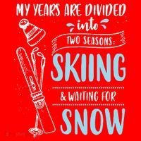 My Years Are Divided Into Two Seasons Skiling Waiting For Snow Christmas Nerd Santa Hat thumb 1