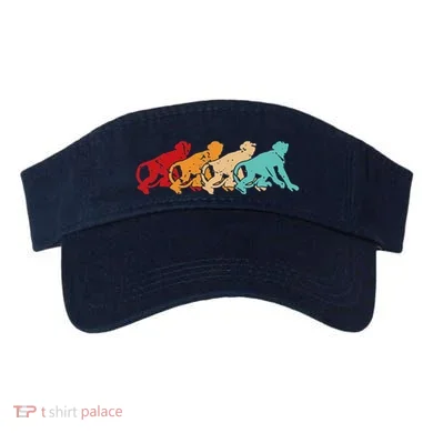 Visor
