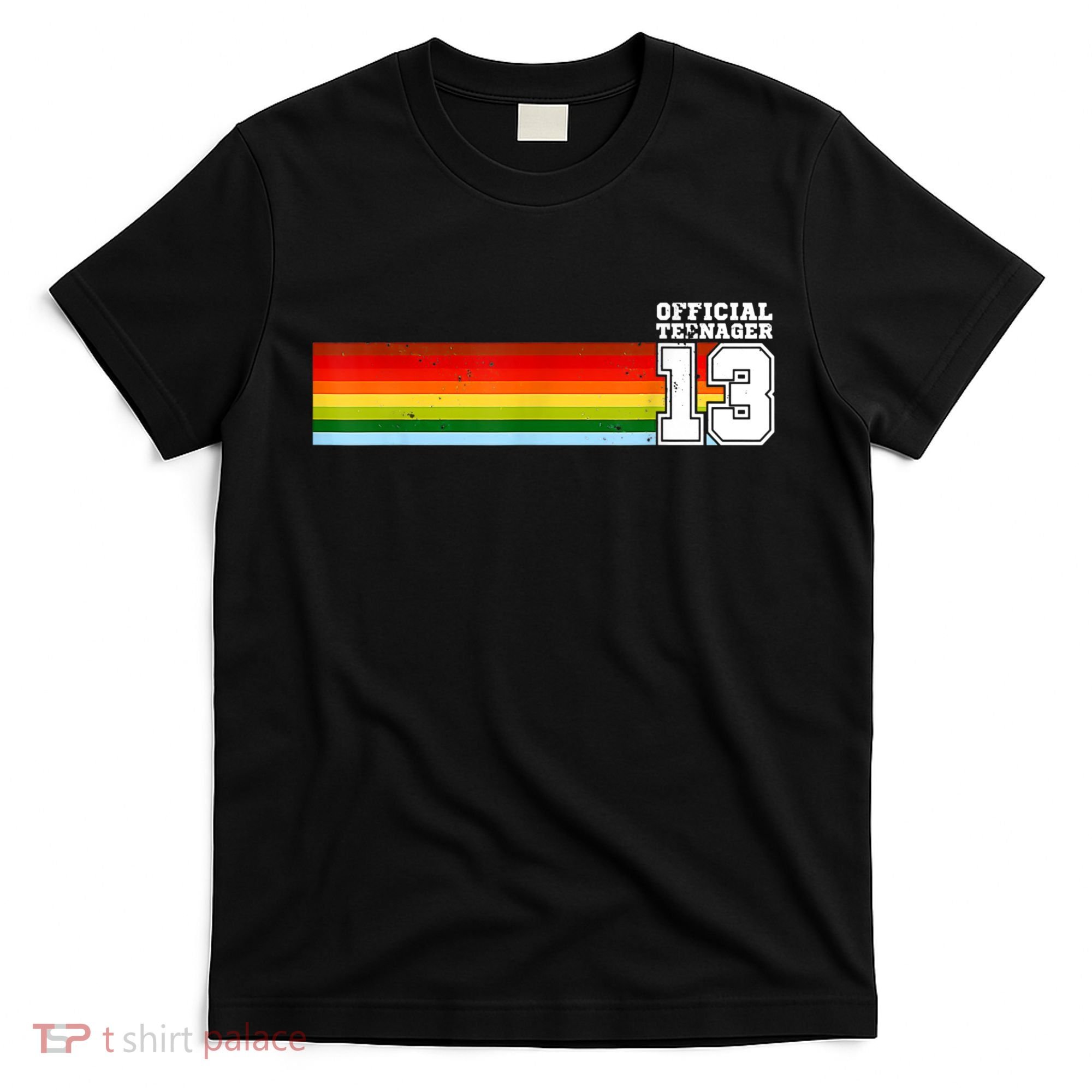 Nager 13th Birthday Gift 13 Year Old Boys Girls T-Shirt