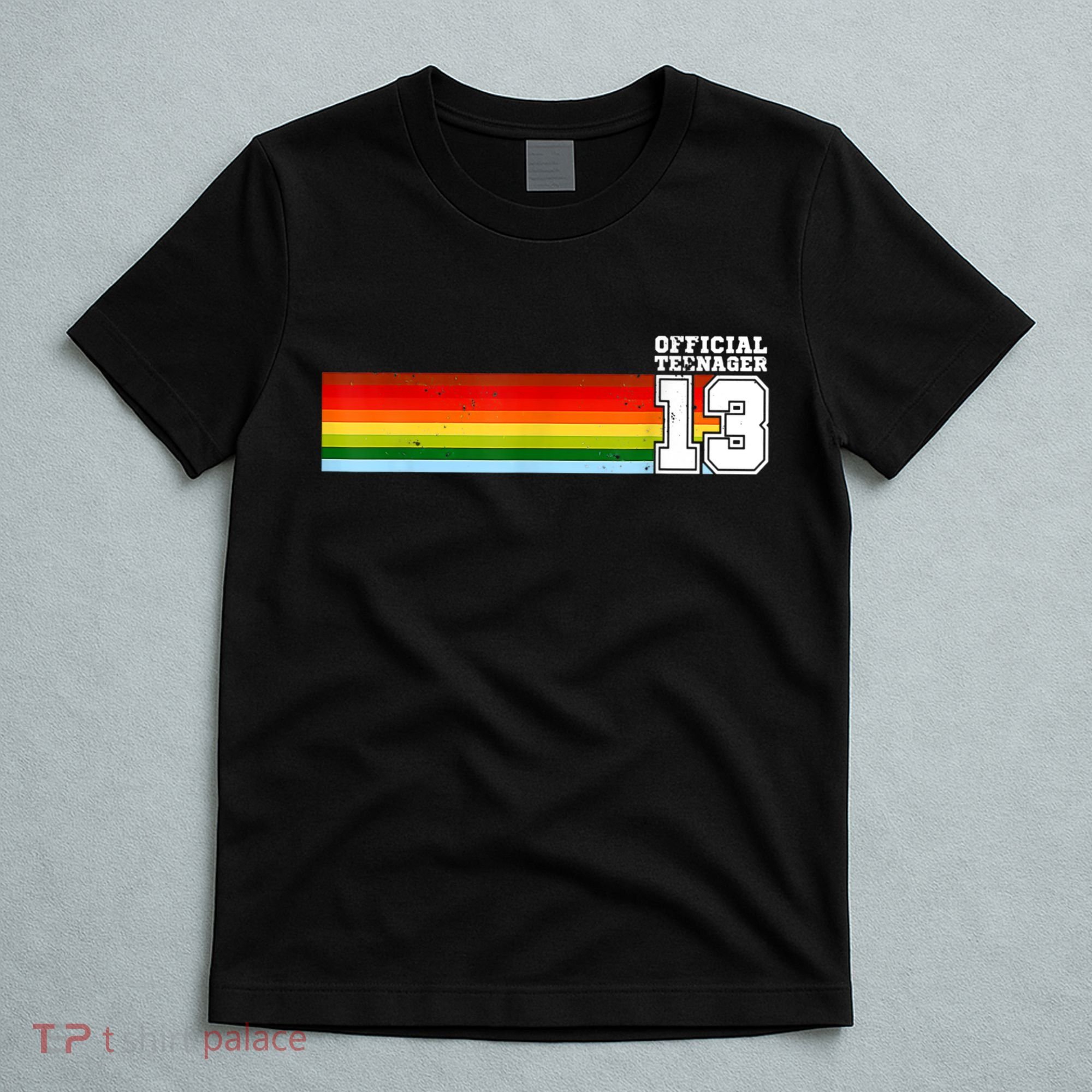 Nager 13th Birthday Gift 13 Year Old Boys Girls T-Shirt