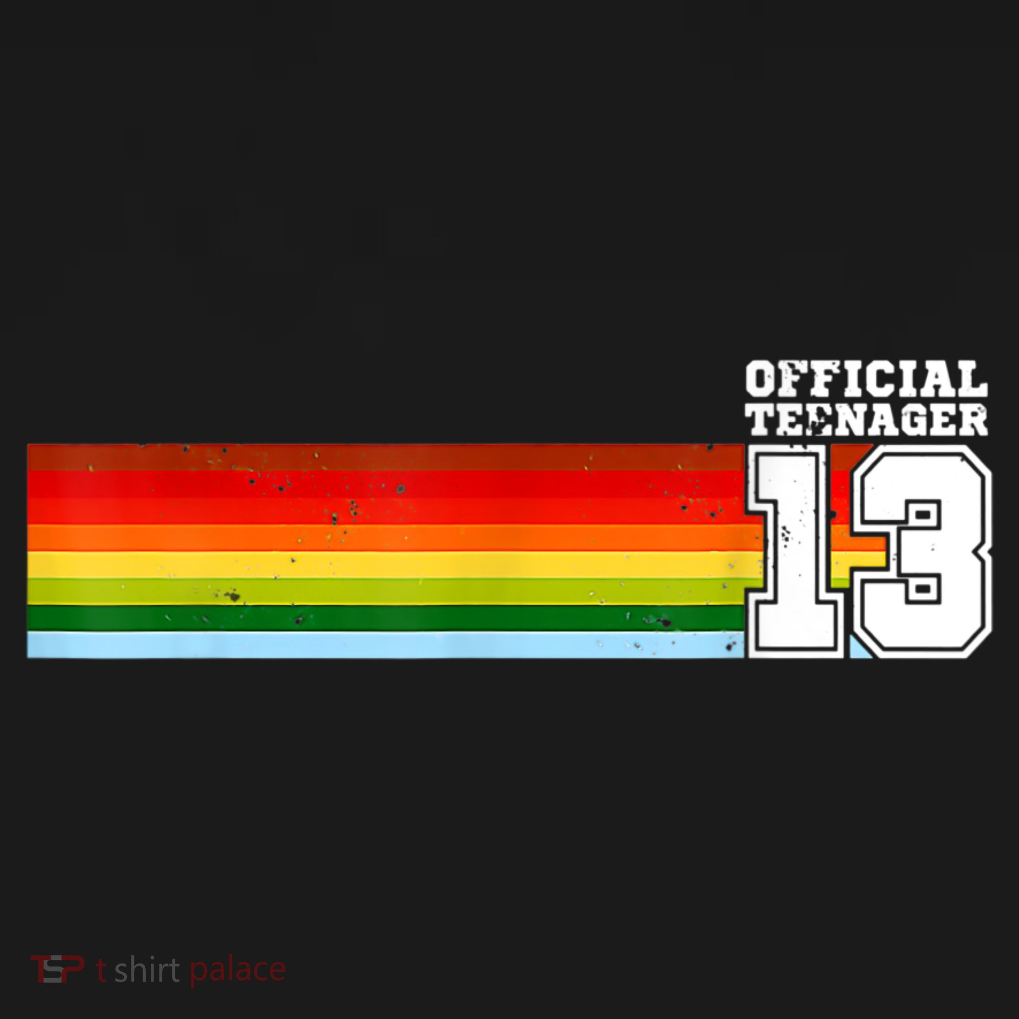 Nager 13th Birthday Gift 13 Year Old Boys Girls T-Shirt