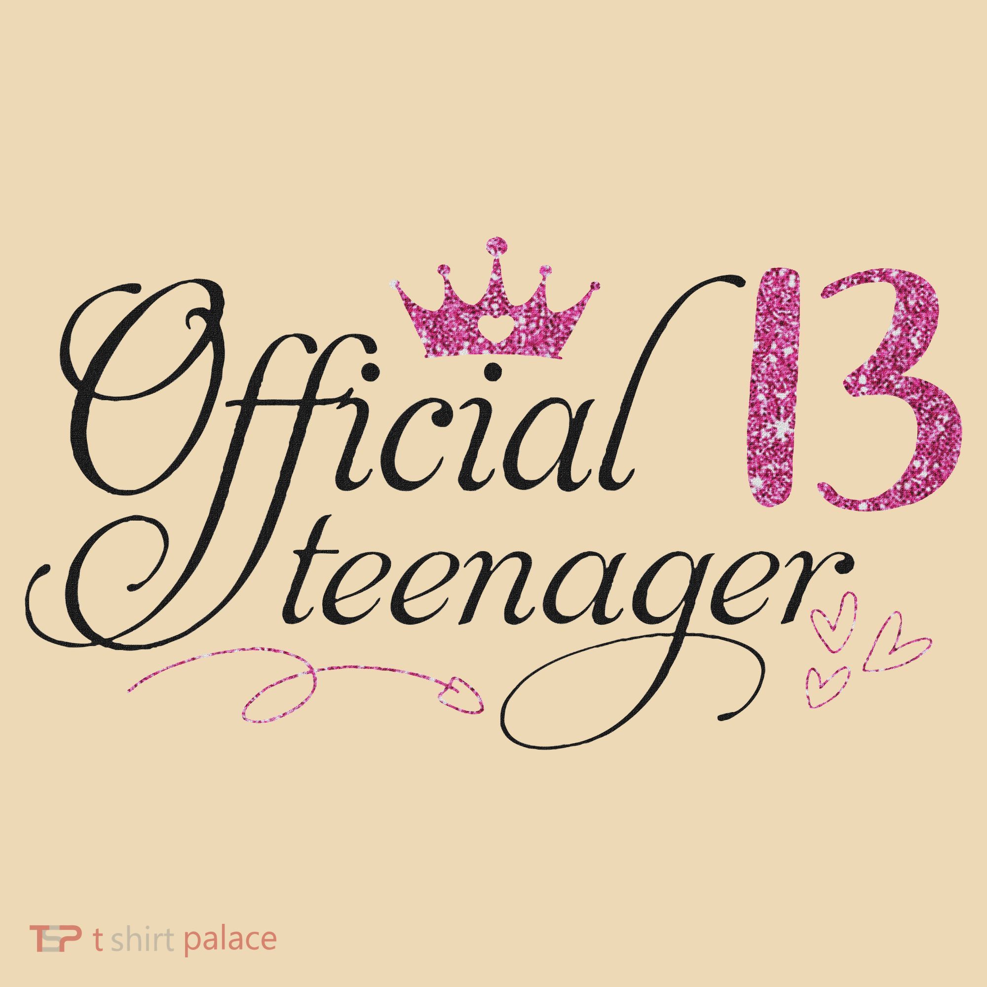 Nager 13 Year Old 13th Birthday Gift Tote Bag
