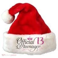 Nager 13 Year Old 13th Birthday Gift Santa Hat thumb 0