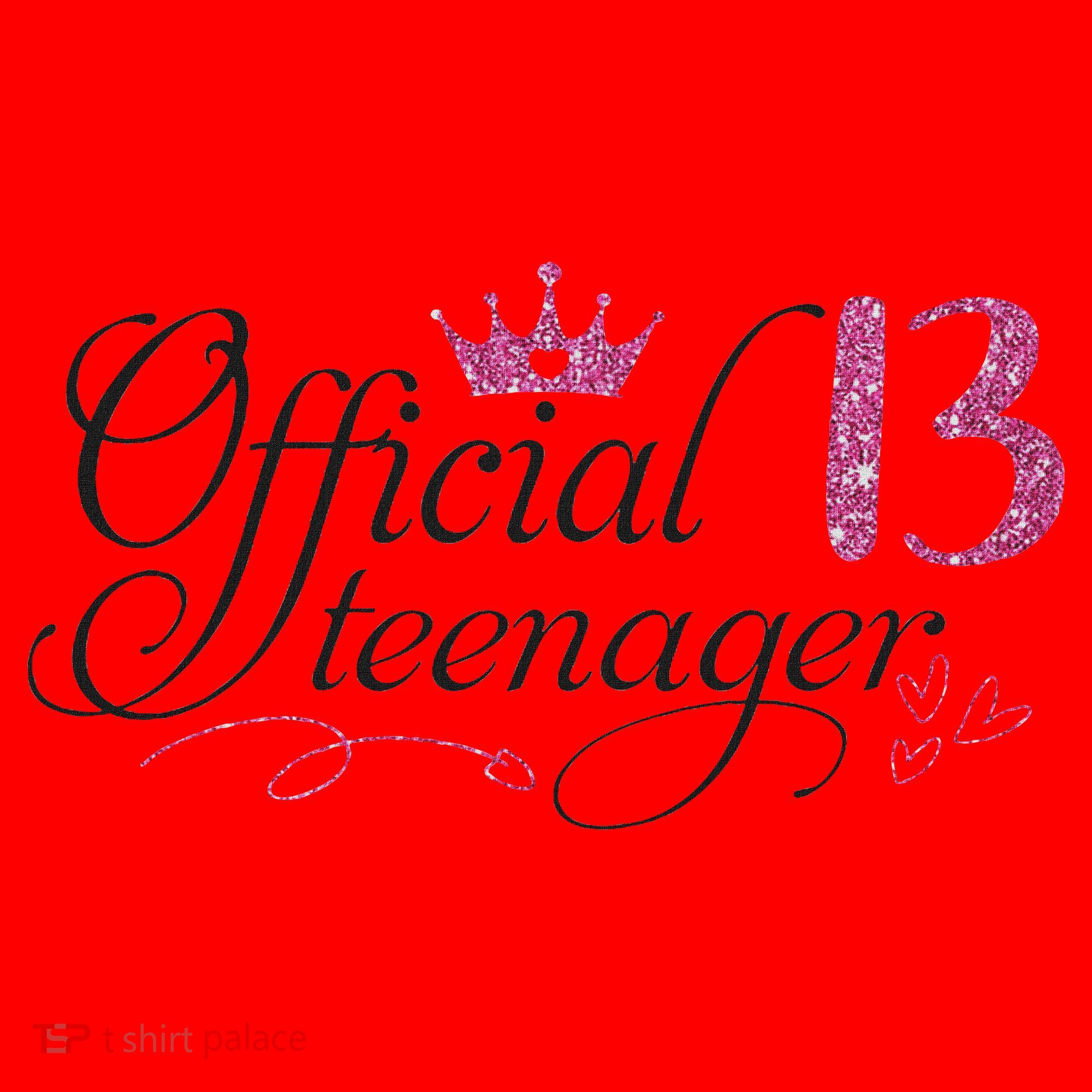 Nager 13 Year Old 13th Birthday Gift Santa Hat
