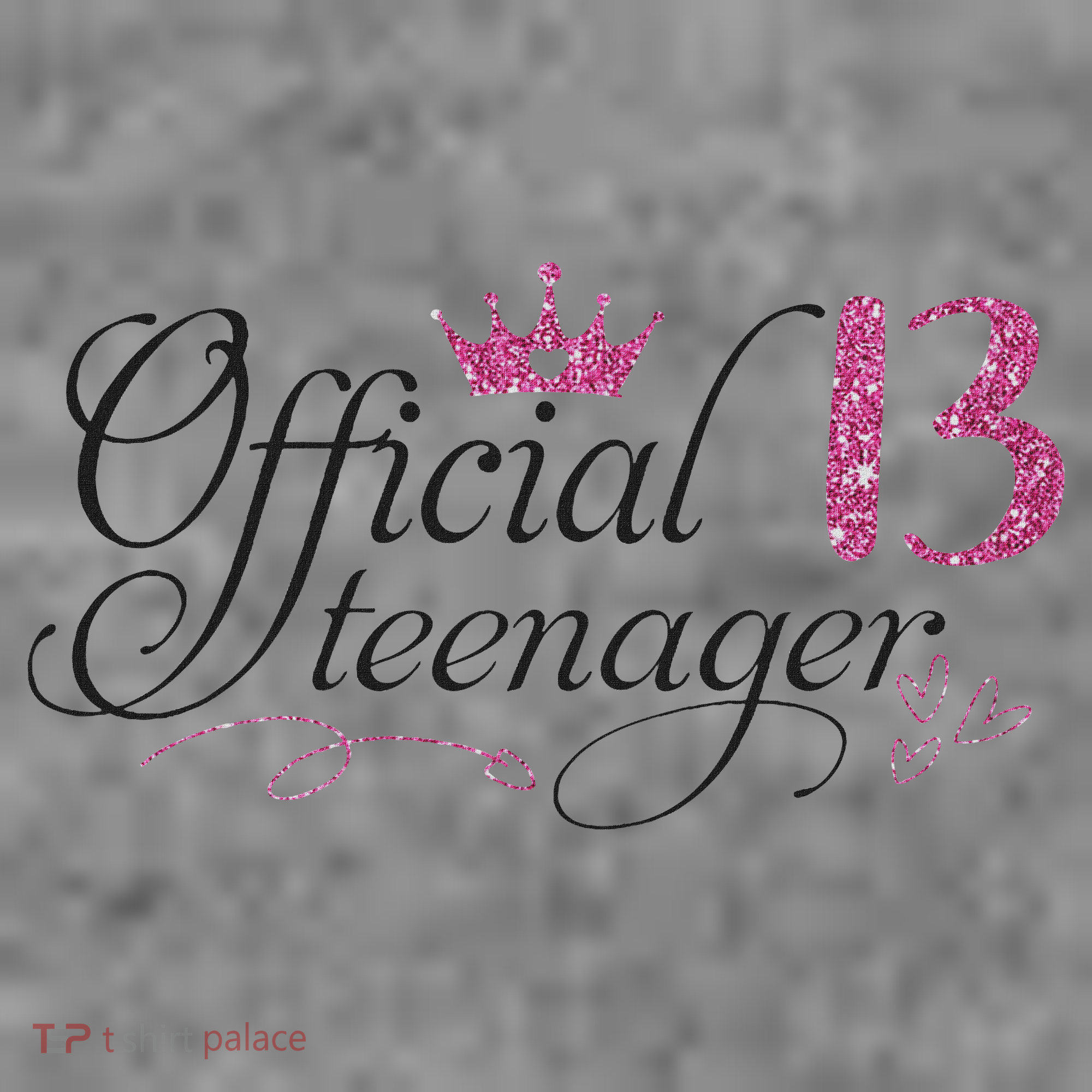 Nager 13 Year Old 13th Birthday Gift Toddler Hoodie