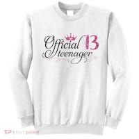 Nager 13 Year Old 13th Birthday Gift Sweatshirt thumb 0
