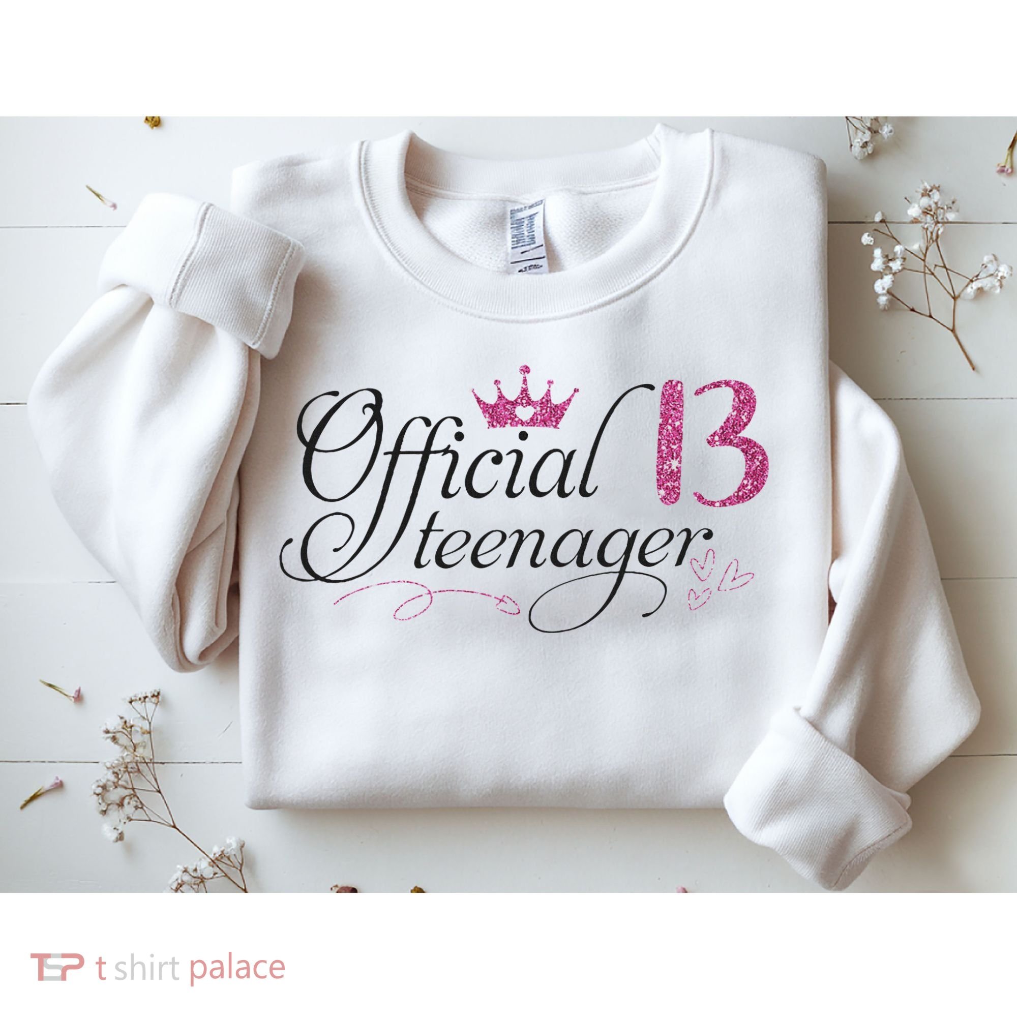 Nager 13 Year Old 13th Birthday Gift Sweatshirt