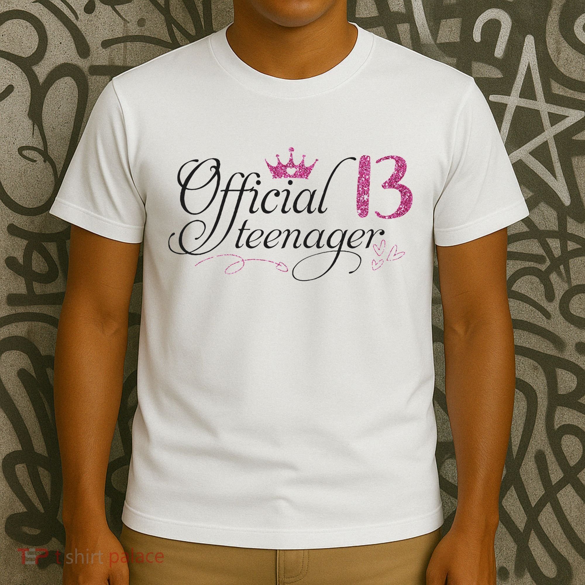 Nager 13 Year Old 13th Birthday Gift T-Shirt
