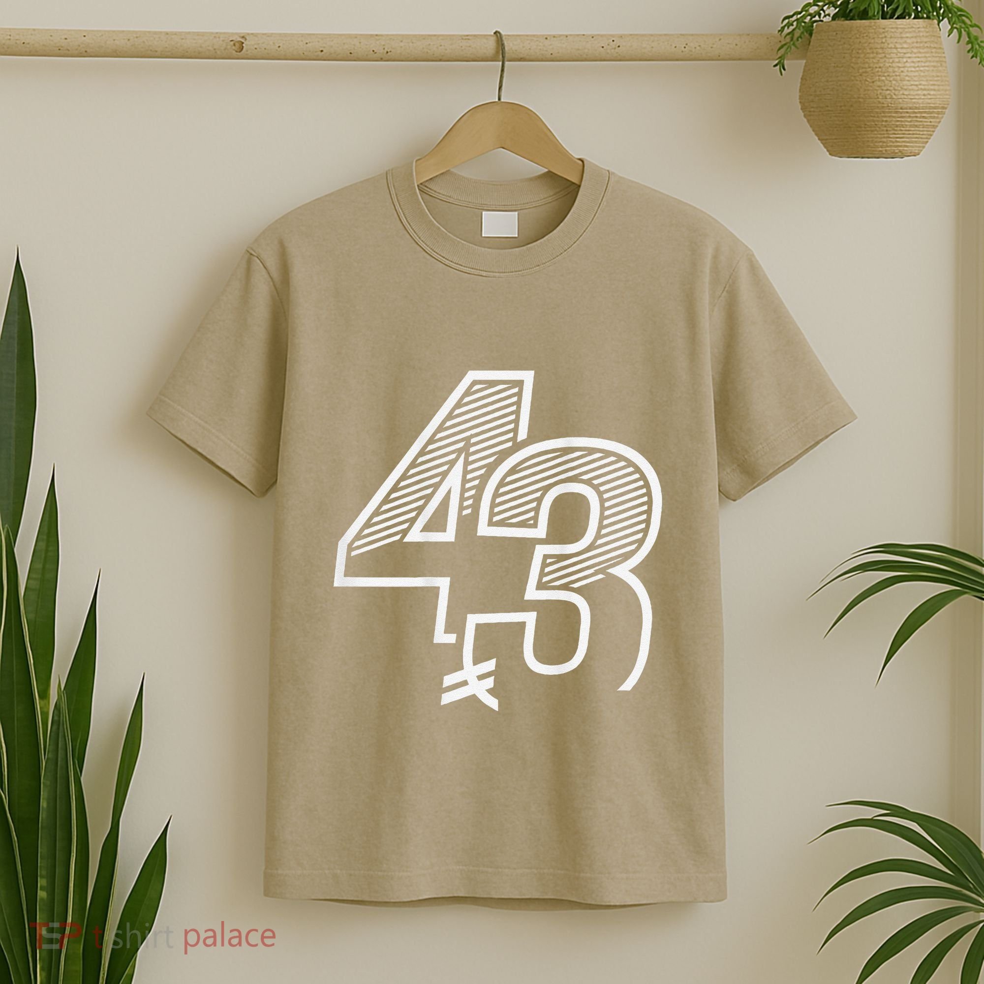 Number 43 Sports Jersey 43 Birthday (Frontback) T-Shirt
