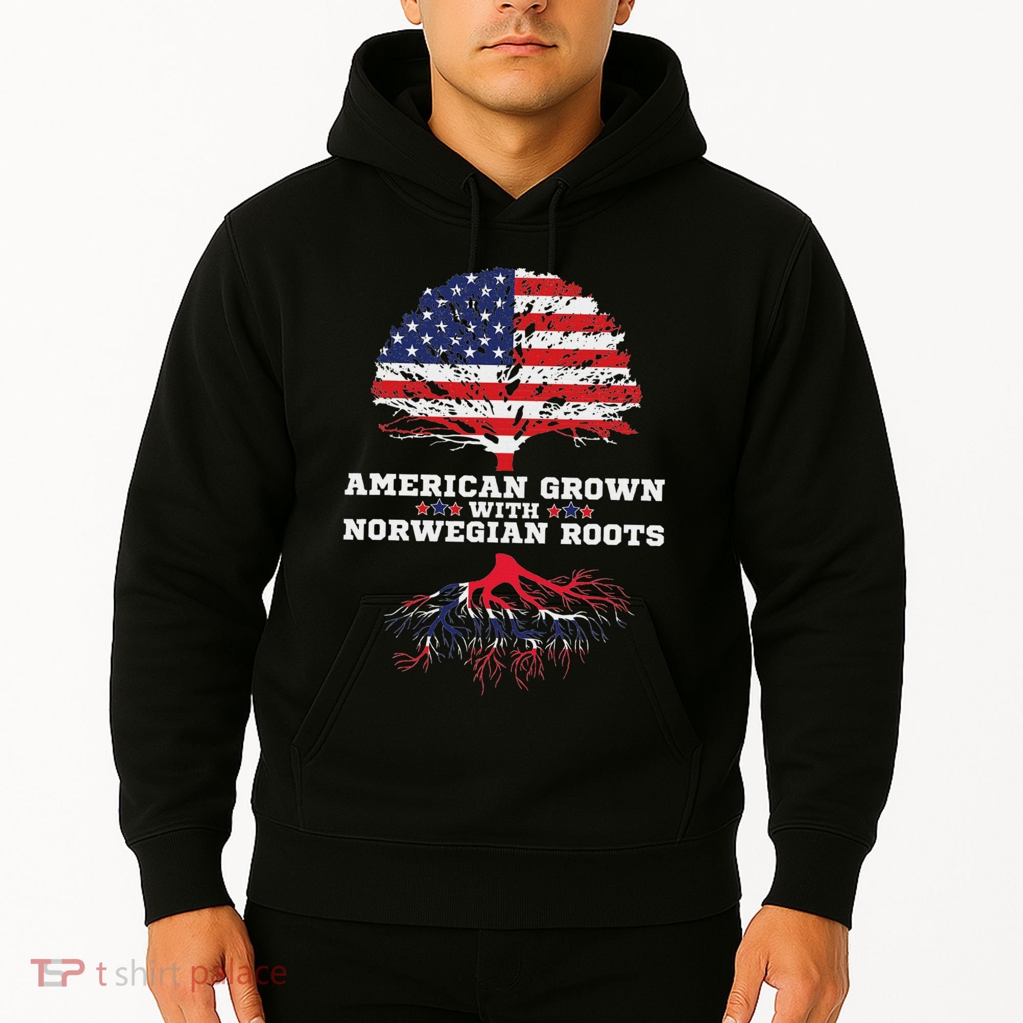 Norwegian American American Grown With Norway Roots Hoodie