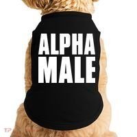 Nick Adams Alpha Male Doggie Tank thumb 0